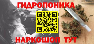 apvp Тверь