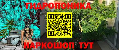 твердый Тара