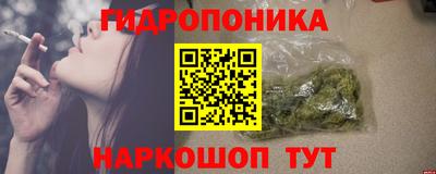 apvp Тверь
