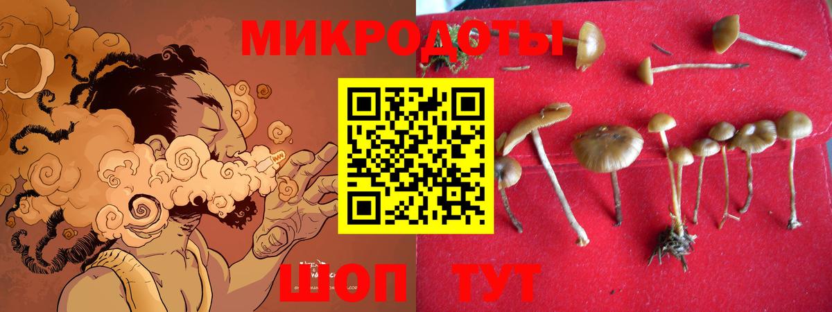 Псилоцибиновые грибы прущие грибы  Вход с VPN  Муравленко 